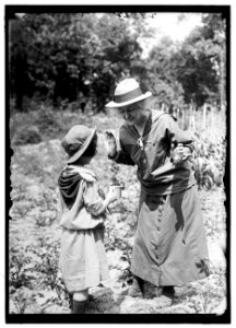 GIRL SCOUTS PICNIC AT HOME OF MRS. HERBERT HOOVER LCCN2016869391