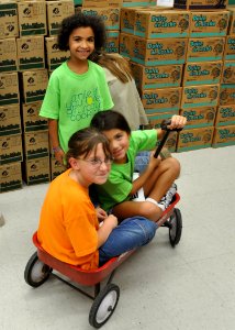 Girl Scout Cookies Arrive at GTMO DVIDS304059