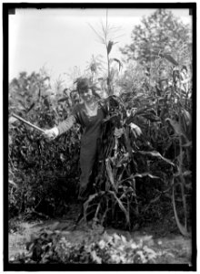GIRL SCOUTS. FARMERETTES HARVESTING CROPS LCCN2016870484