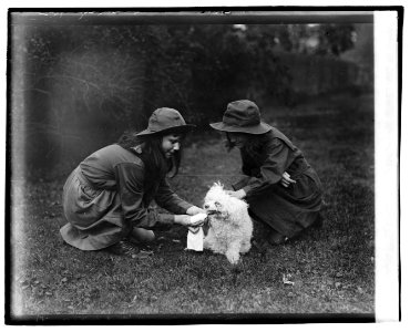 Girl Scouts LCCN2016828941