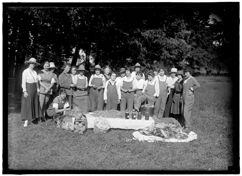 GIRL SCOUTS. FARMERETTES HARVESTING CROPS LCCN2016870479