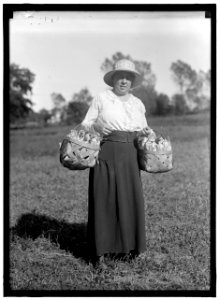 GIRL SCOUTS. FARMERETTES HARVESTING CROPS LCCN2016870485