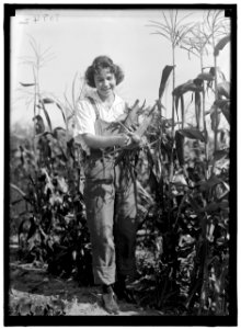 GIRL SCOUTS. FARMERETTES HARVESTING CROPS LCCN2016870492