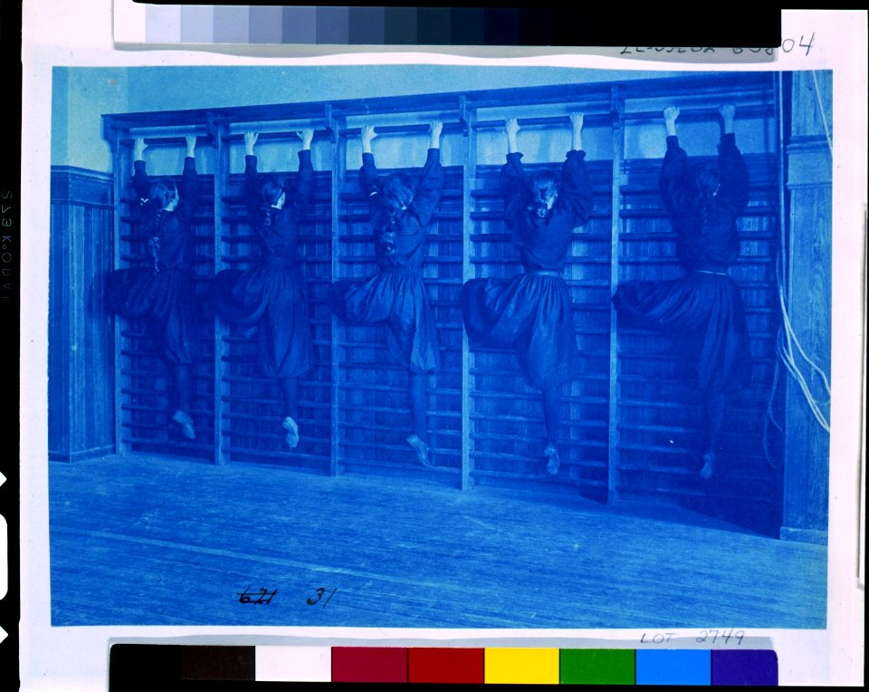 Girls in bloomers on climbing apparatus, Western High School, Washington, D.C. LCCN93500021