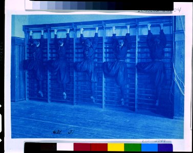Girls in bloomers on climbing apparatus, Western High School, Washington, D.C. LCCN93500021
