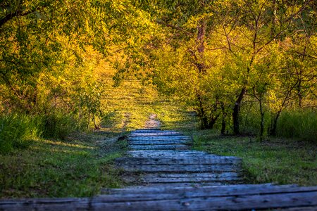 Park way landscape photo