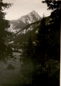 Gisnitz aus der Vogeltesserstellung. (3-7.1917.) (BildID 15800049)