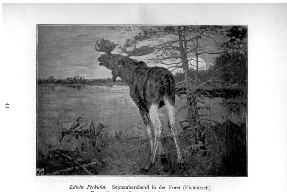 Glaspalast München 1897 046
