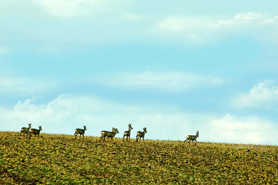 Rehrudel sky landscape