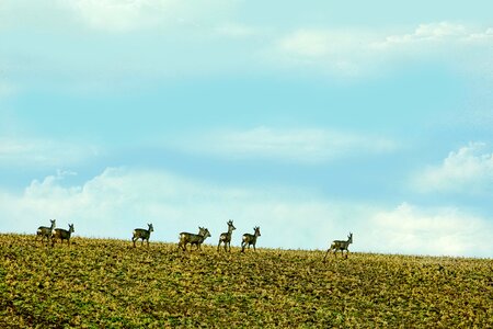Rehrudel sky landscape