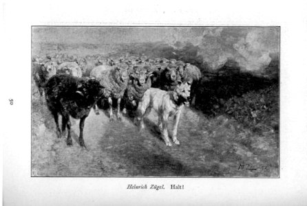 Glaspalast München 1897 053