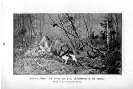 Glaspalast München 1897 069
