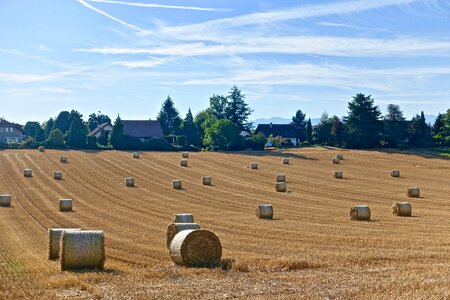Agriculture farm field photo
