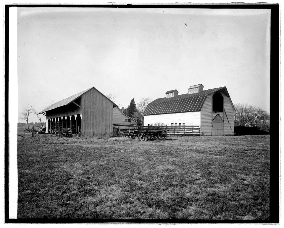Glebe property, Miss Bowie LCCN2016824089