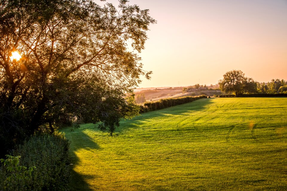 Green sunlight grass