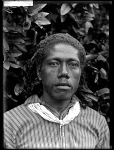 Glass negative (black and white); portrait of a man, in front of a bush, wearing a striped shirt and a piece of cloth tied around his neck; Tonga. Photographic process. Oc,G.N.1621, British Museum