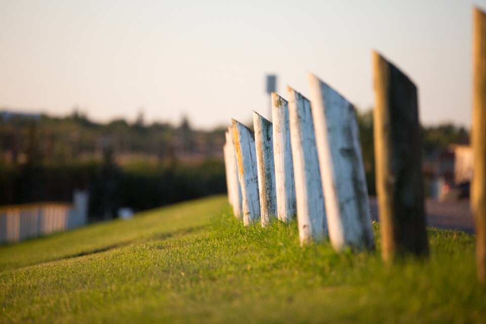 Summer outdoor field