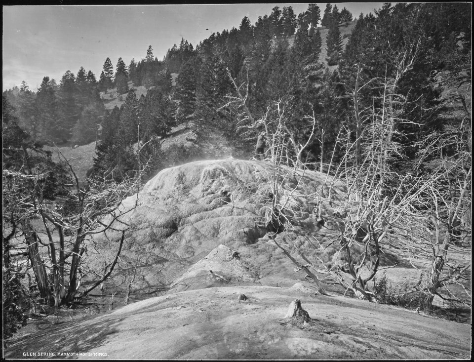 Glen Springs, Mammoth Hot Springs. Yellowstone National Park. - NARA - 517637