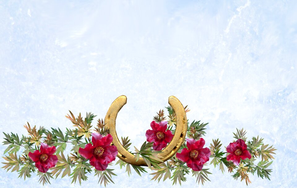 Luck horseshoe decoration