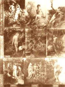 Gloeden, Wilhelm von (1856-1931) - Campionario 1070-1279