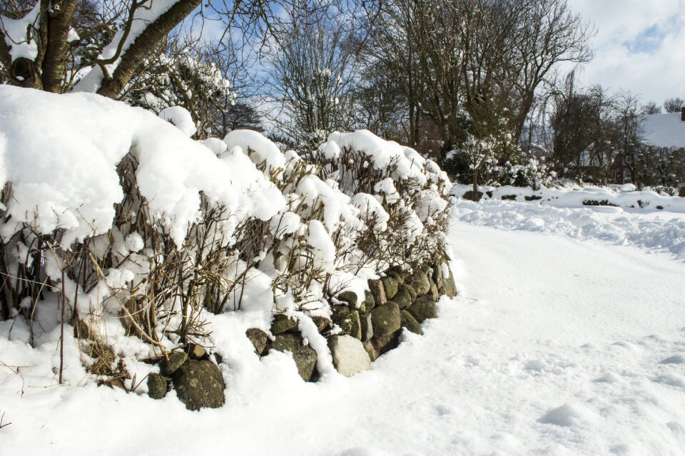 Winter cold frost
