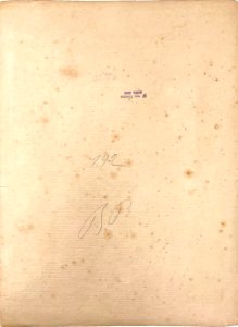 Gloeden, Wilhelm von (1856-1931) - n. 0192 verso - Aste LaRosa