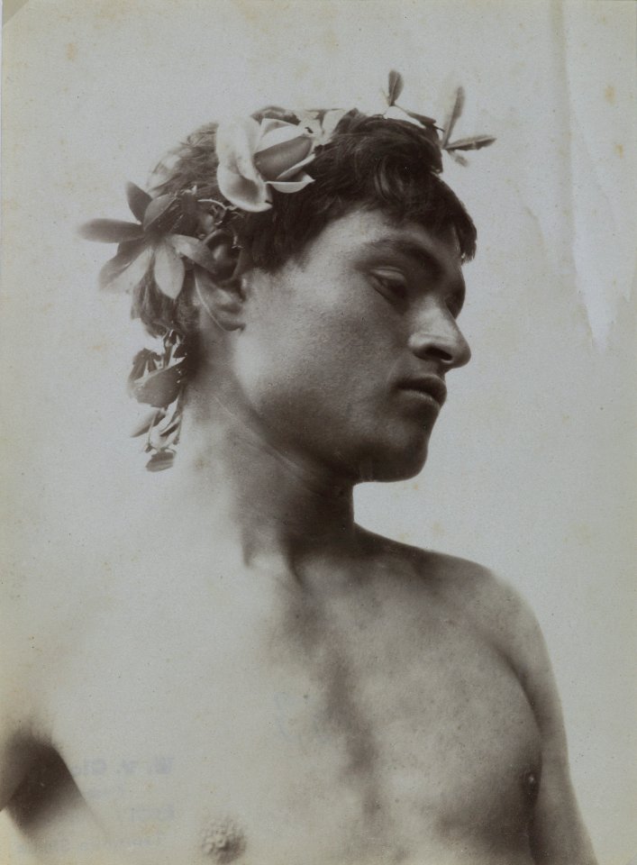 Gloeden, Wilhelm von (1856-1931) - n. 0053 - Nino Merluzzi - Galleria del Levante p. 39