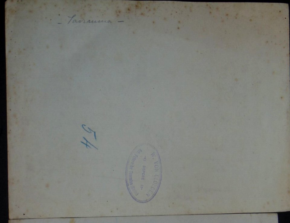 Gloeden, Wilhelm von (1856-1931) - n. 0054 verso - Timbrata, cm 18x24