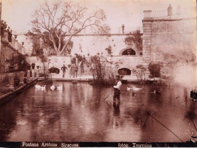 Gloeden, Wilhelm von (1856-1931) - n. 0084 B recto - Fontana Aretusa - Siracusa