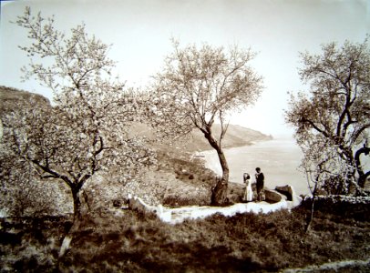 Gloeden, Wilhelm von (1856-1931) - n. 0041 - Panorama della costa taorminese, 1900 ca