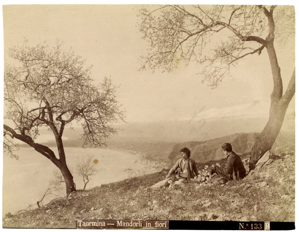Gloeden, Wilhelm von (1856-1931) - n. 0133 B - Mandorli in fiore