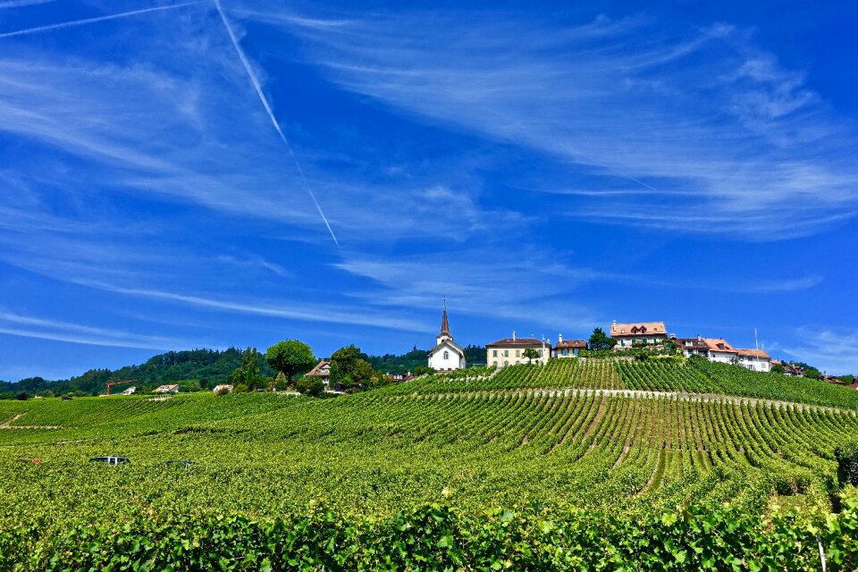 Landscape sky field