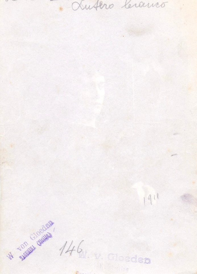 Gloeden, Wilhelm von (1856-1931) - n. 0146 - Lutero bianco - ex Texbraun Collection, Galerie David Guiraud, Paris, verso
