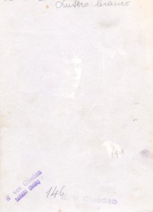 Gloeden, Wilhelm von (1856-1931) - n. 0146 - Lutero bianco - ex Texbraun Collection, Galerie David Guiraud, Paris, verso