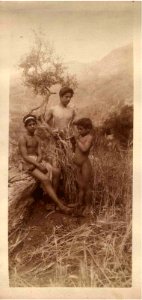Gloeden, Wilhelm von (1856-1931) - n. 0070 - Summer