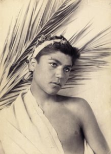 Gloeden, Wilhelm von (1856-1931) - n. 0191, cm 18x24 - Galerie Bassenge