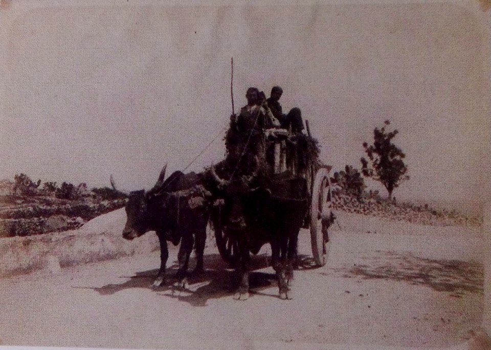 Gloeden, Wilhelm von (1856-1931) - n. 0517 - Auch ich in Arkadien, p. 7