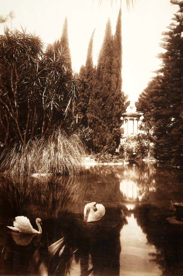 Gloeden, Wilhelm von (1856-1931) - n. 0151 - Villa Tasca, Palermo - Fotomontaggio con cigni - 1909 - inet