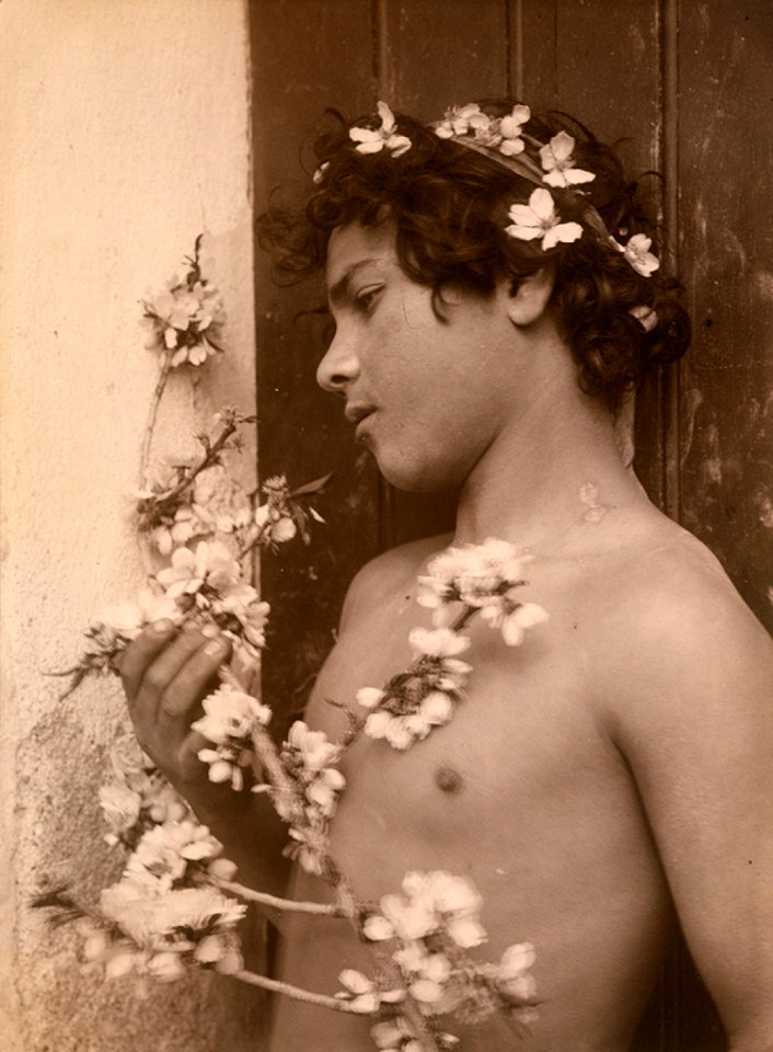 Gloeden, Wilhelm von (1856-1931) - n. 0341 recto - Mandorlo in fiore - Deponirt 27 Jan 1899 - ex Texbraun Collection, Galerie David Guiraud, Paris