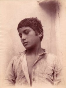 Gloeden, Wilhelm von (1856-1931) - n. 0224 - Peppino - Gallo, p. 17