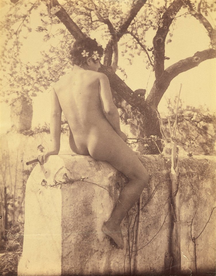 Gloeden, Wilhelm von (1856-1931) - n. 0353 cm 22.4 x 16,8 - Lempertz
