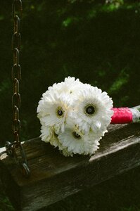 Bunch bouquet wedding
