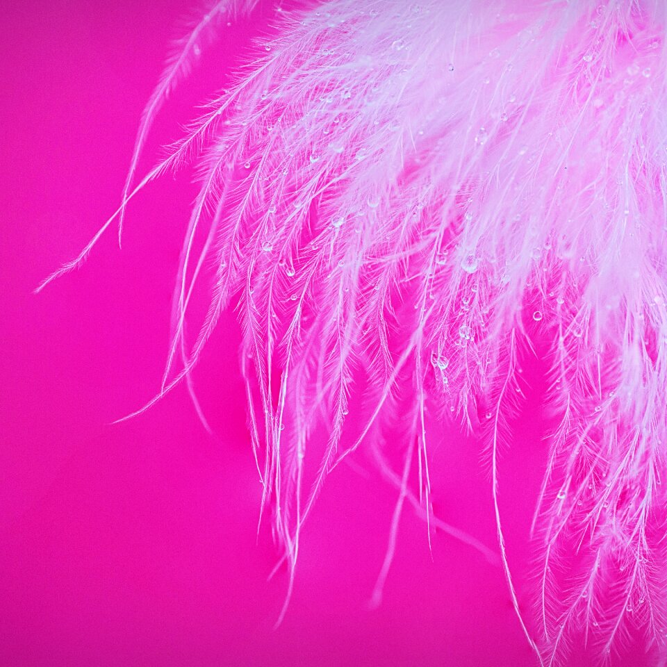 Abstract color bright