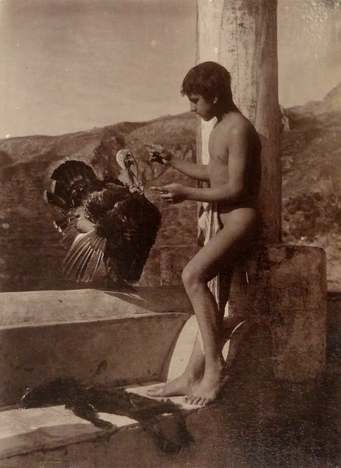 Gloeden, Wilhelm von (1856-1931) - n. 0522