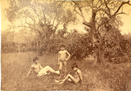 Gloeden, Wilhelm von (1856-1931) - n. 1096