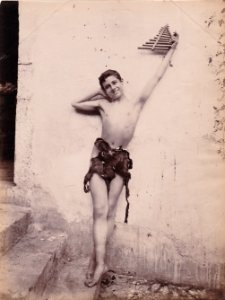 Gloeden, Wilhelm von (1856-1931) - n. 0804 B recto - ex Texbraun Collection, Galerie David Guiraud, Paris