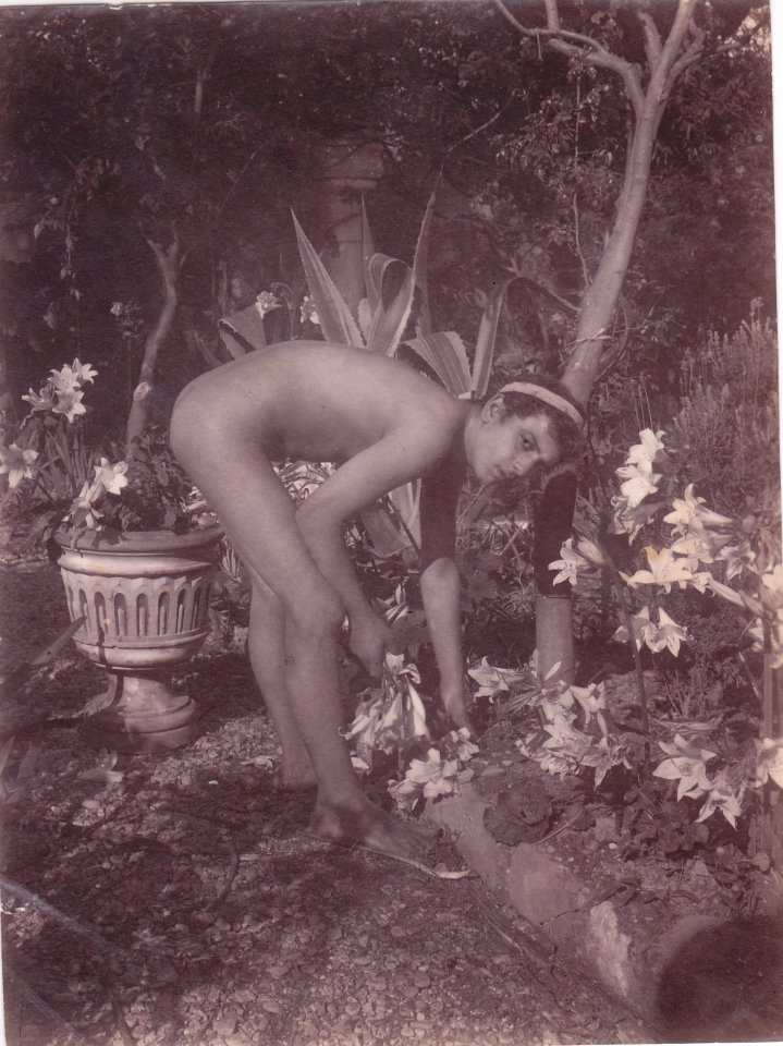 Gloeden, Wilhelm von (1856-1931) - n. 1176r