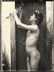 Gloeden, Wilhelm von (1856-1931) - n. 0996 - Twelvetrees p. 49