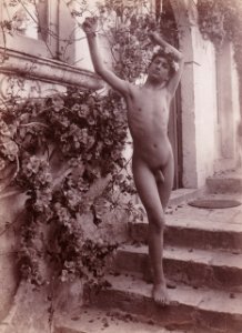 Gloeden, Wilhelm von (1856-1931) - n. 1035 - Twelwetrees p. 70 e Gloedeneries p. 10