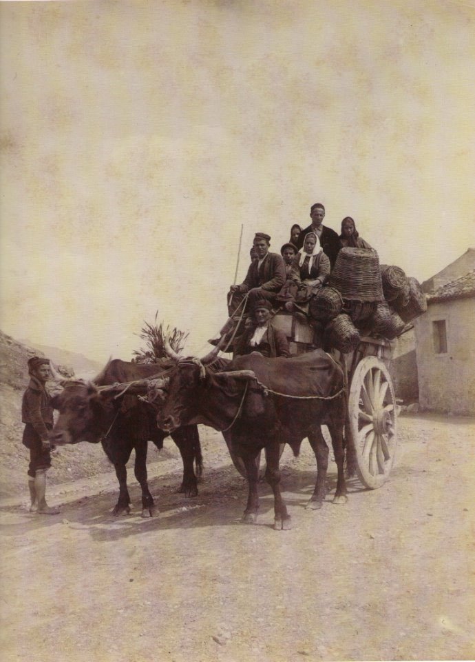 Gloeden, Wilhelm von (1856-1931) - n. 1397 recto - Capo di Taormina - Carro siciliano 1900. Millea brothers